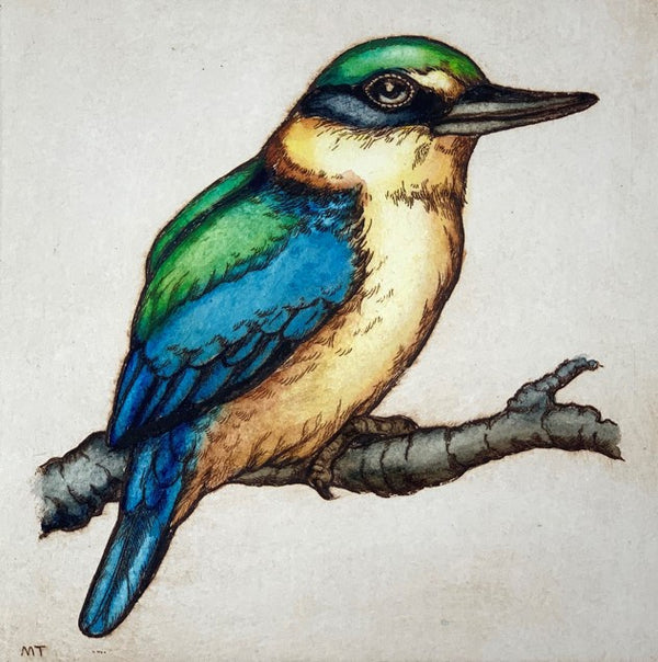 Kingfisher / Kotare